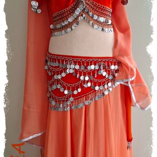 Komplettes Set 4-tlg. in orange, Oberteil und Hüfttuch aus Stretchsamt mit Münzen Perlen, dazu Rock doppellagig, Gr. L